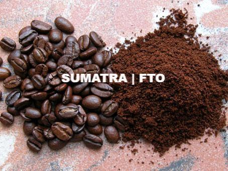 Single Origin | SUMATRA | Dark Roast