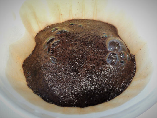 Single Origin | Papua New Guinea | Dark Roast