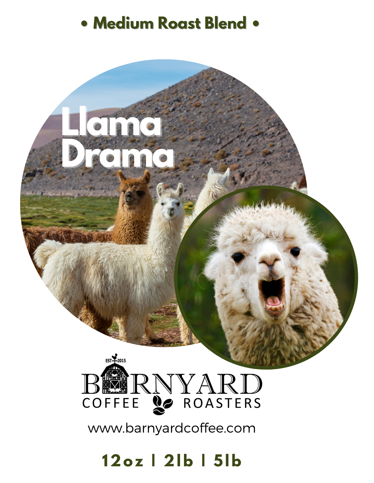 Blend | Llama Drama | Medium Roast