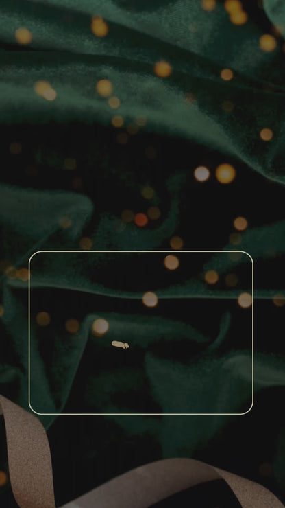 Holiday Variety | 7 Packet Gift Set