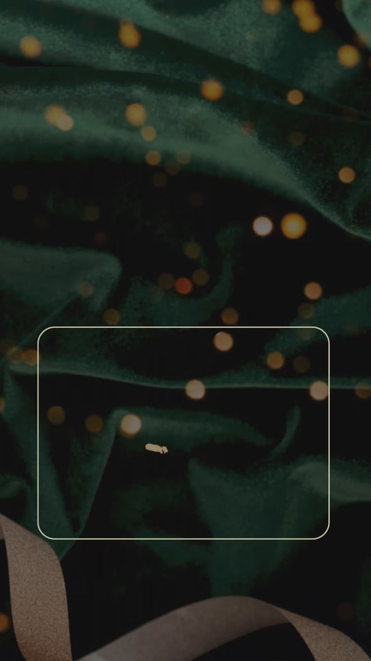 Holiday Variety | 7 Packet Gift Set